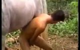 Ngentot Kuda Sperma Crot Dalam Memek